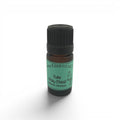 Holy Basil Tulsi Organic Essential Oil