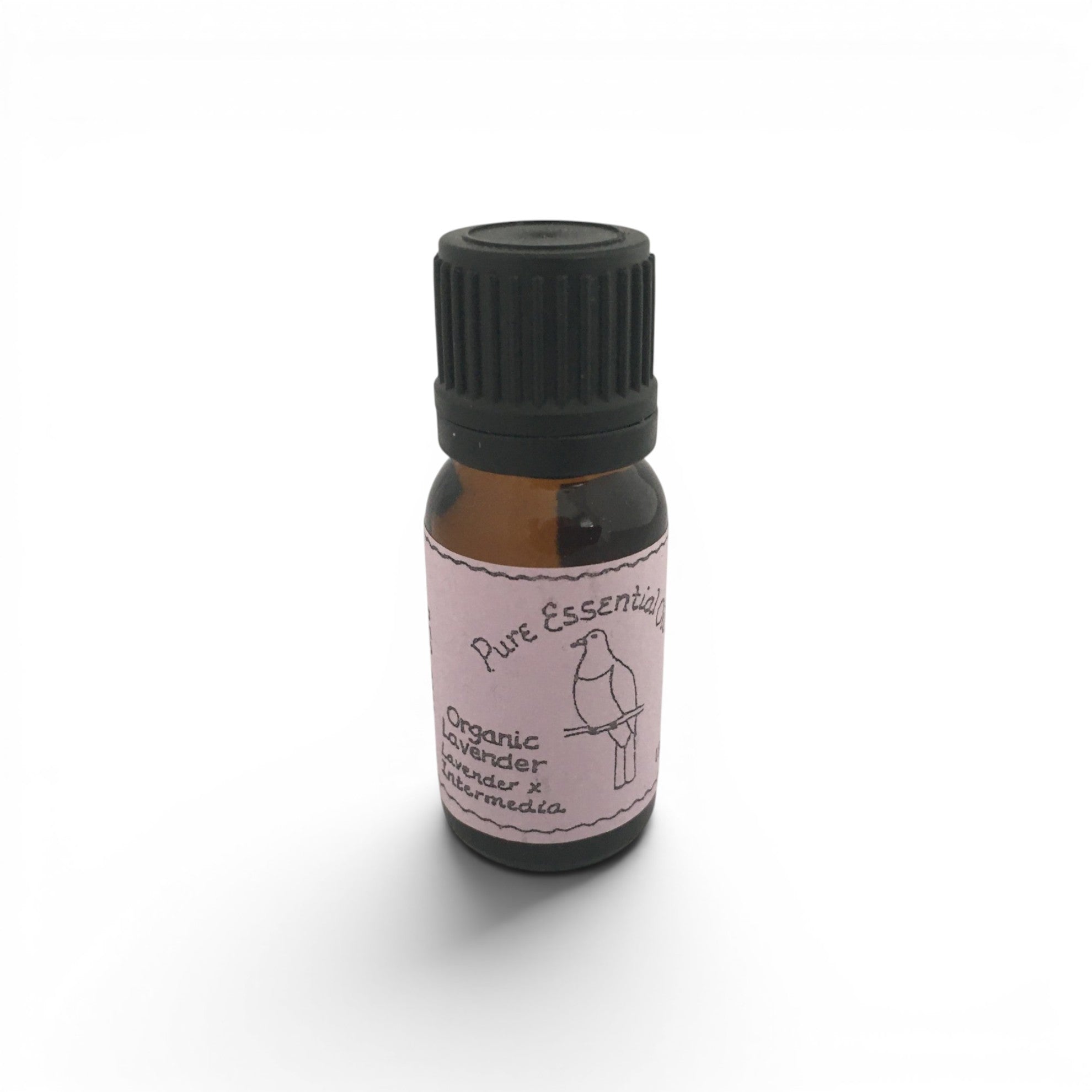 Lavender x Intermedia Organic Essential Oil