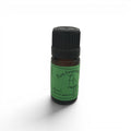 Basil Organic Essential Oil