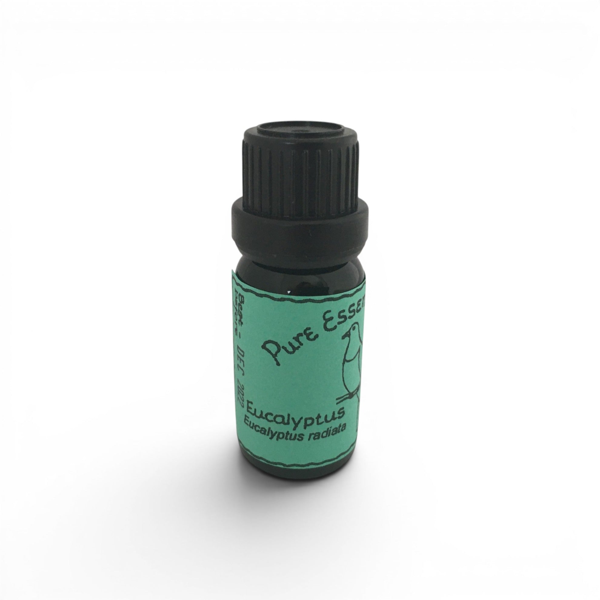 Eucalyptus radiata Organic Essential Oil