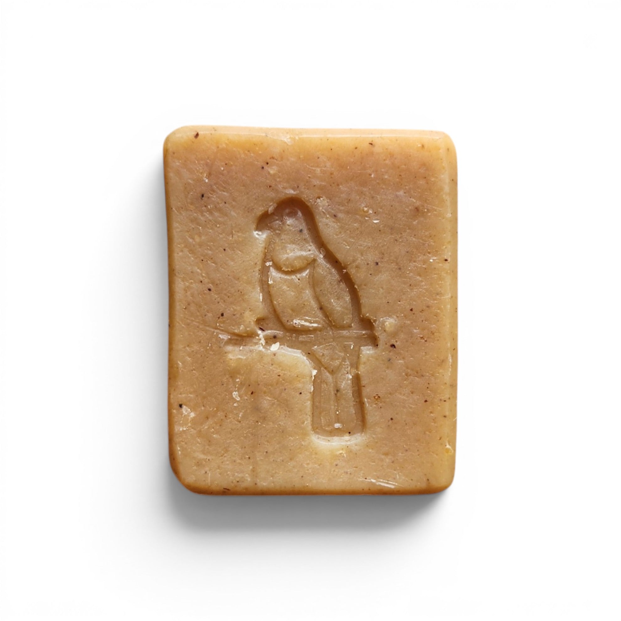 Spiced Cornmeal Soap - GUEST